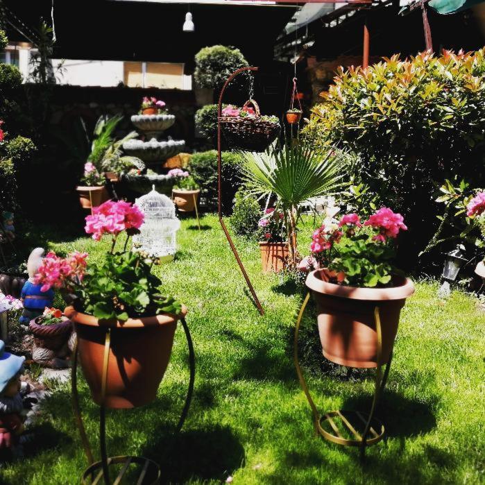 Gala-Garden Hotel Bitola Bagian luar foto