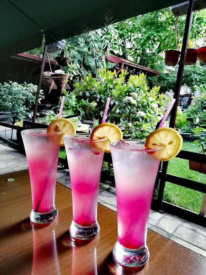 Gala-Garden Hotel Bitola Bagian luar foto